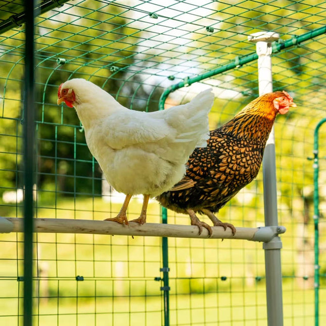 Omlet Poletree Customisable CChicken Perch