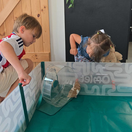 Create an interactive space for your small pets and children with a Pop-Up Playpen by Omlet