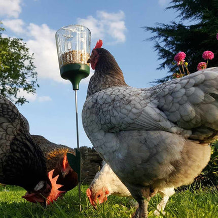 Peck Toy Treat Dispenser | Omlet