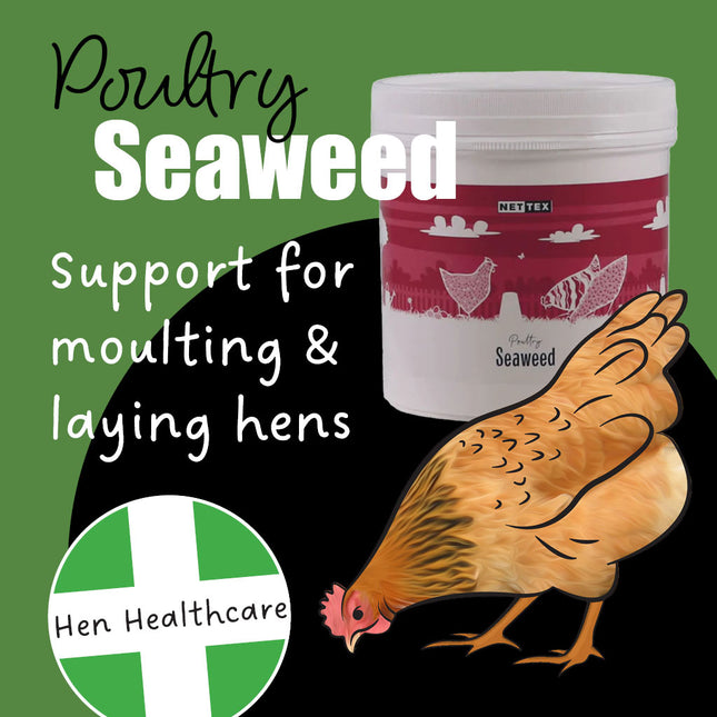 Poultry Seaweed Nettex