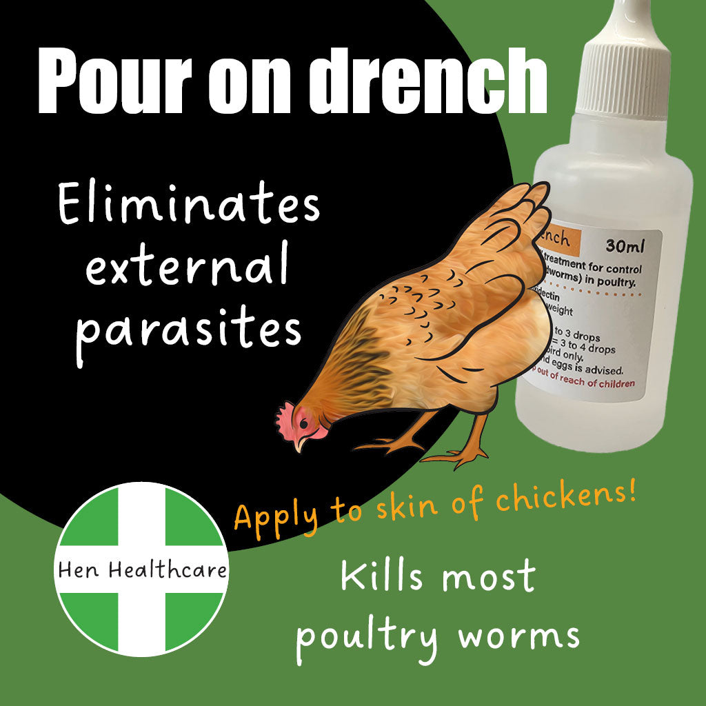 Does My Bird Have Worms: Signs, Causes & Quick Treatment Tips