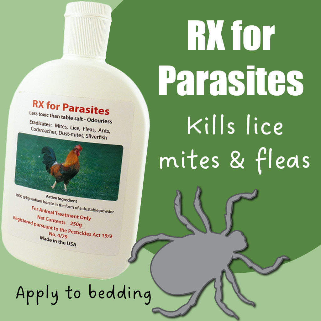 RX for Parasites