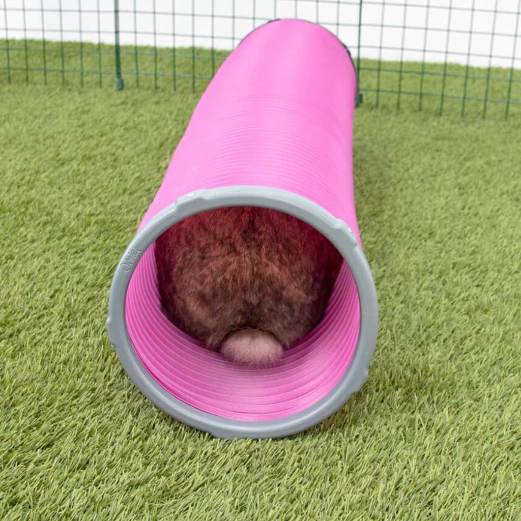 Omlet Rabbit Play Tunnels