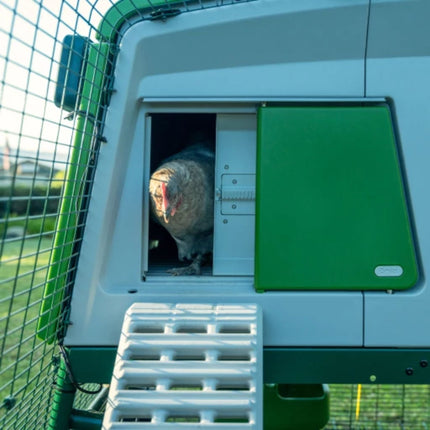 Smart Control Panel for Omlet Autodoor lets your flock out or in