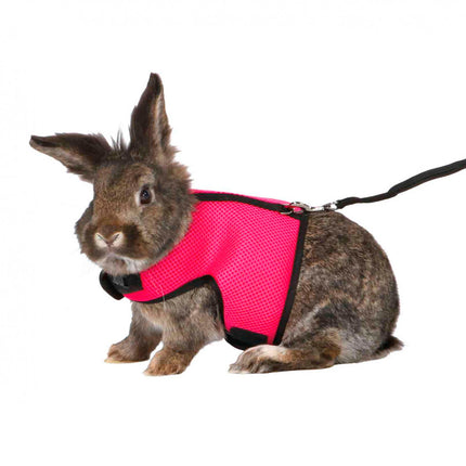 Soft harness for rabbits with leash