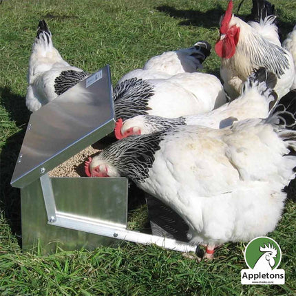 Appletons Chicken Step On Feeder Large