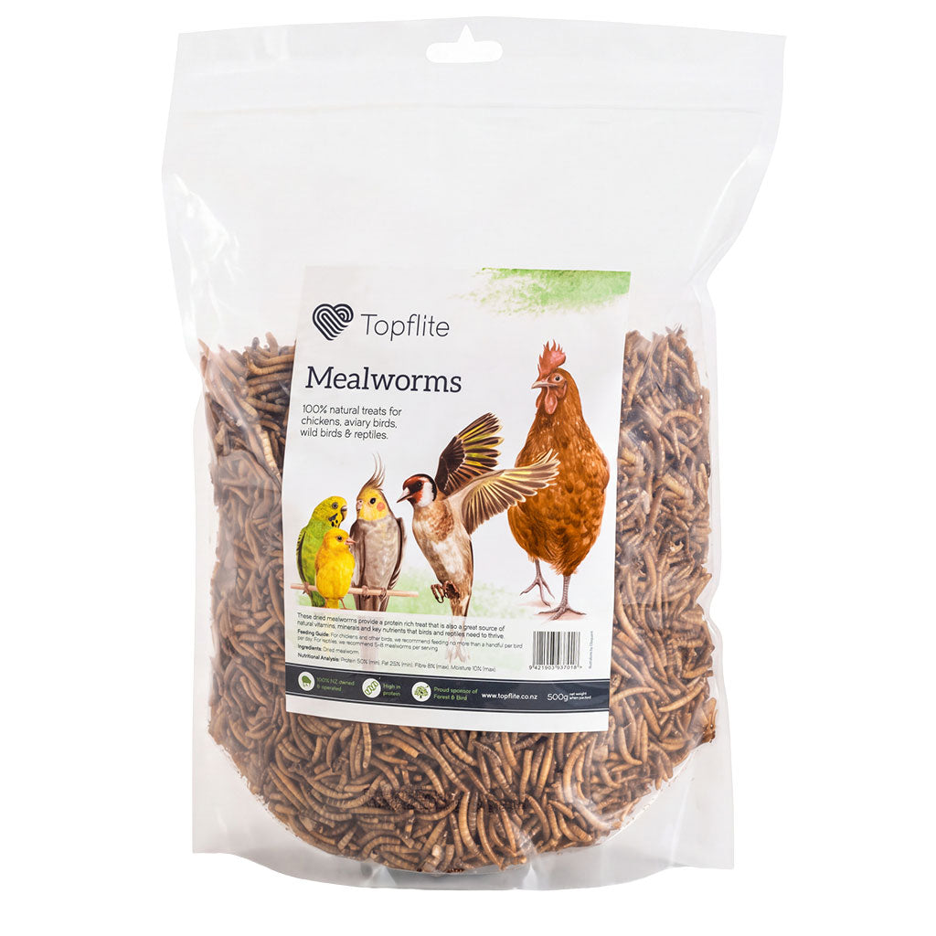 Dried Mealworms 500g | Topflite