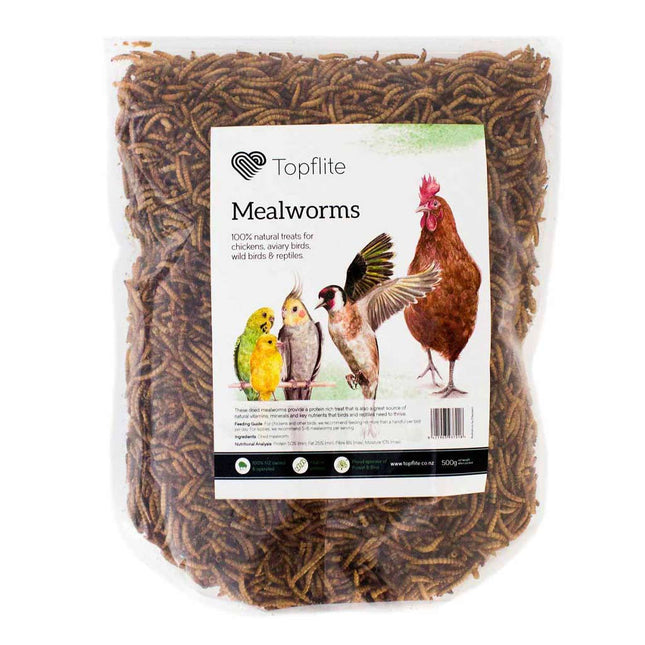 Dried Mealworms 500g | Topflite