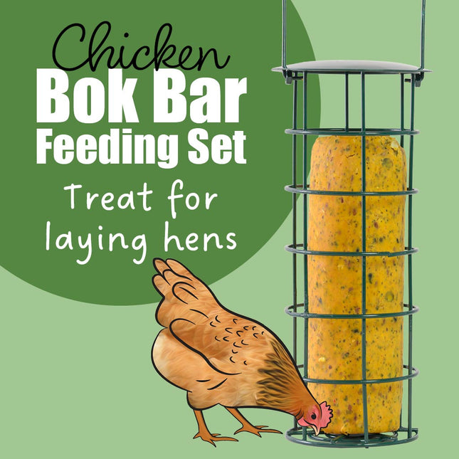 The bok bar feeding set offers a nutritious treat for your hens
