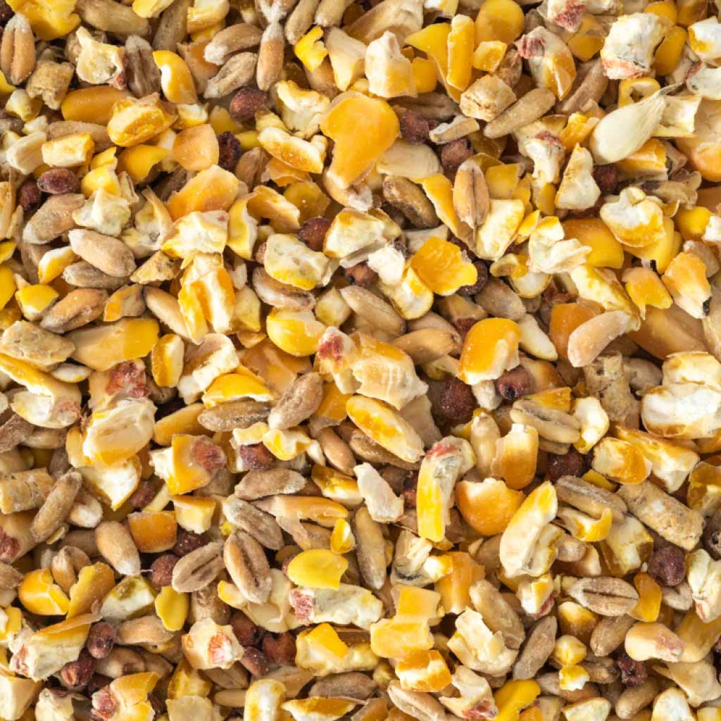 Dove seed mix by Topflite close-up