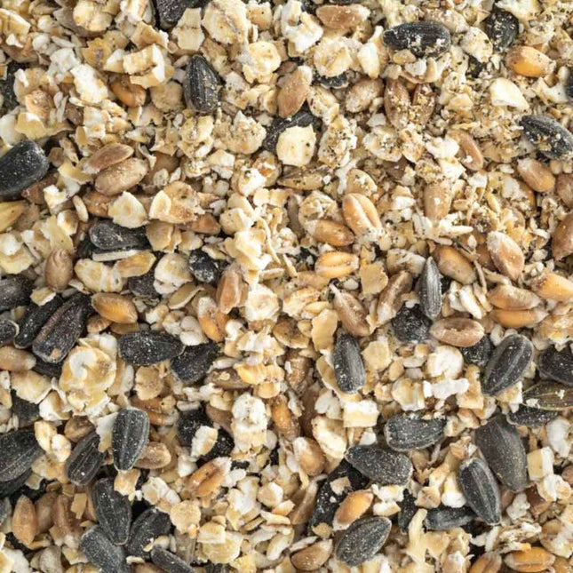 Topflite Hen Health Tonic 1kg