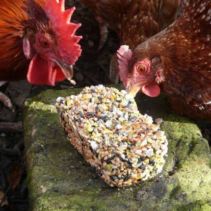 Topflite Poultry Pecker