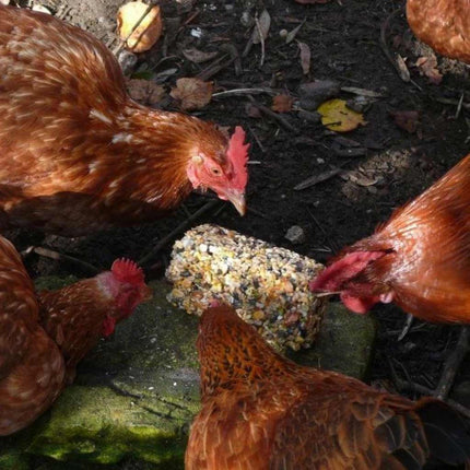 Topflite Poultry Pecker