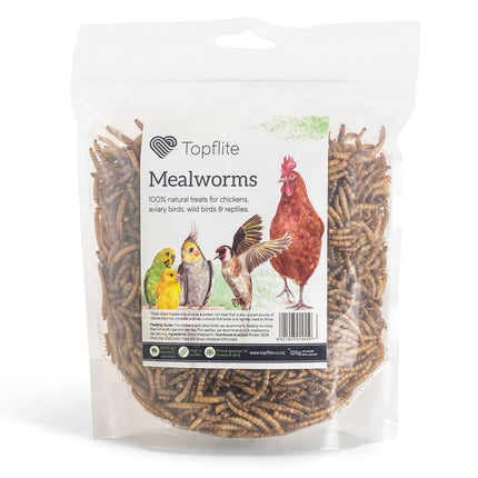 Dried Mealworms 125g | Topflite