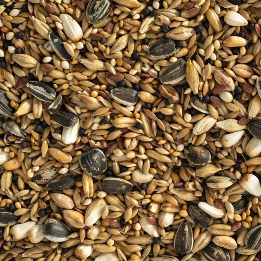 Topflite Aviary Mix
