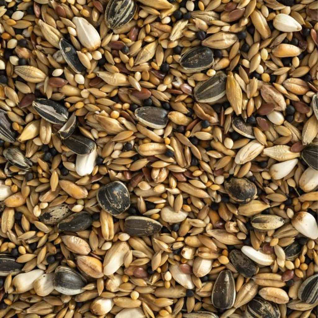 Topflite Aviary Mix
