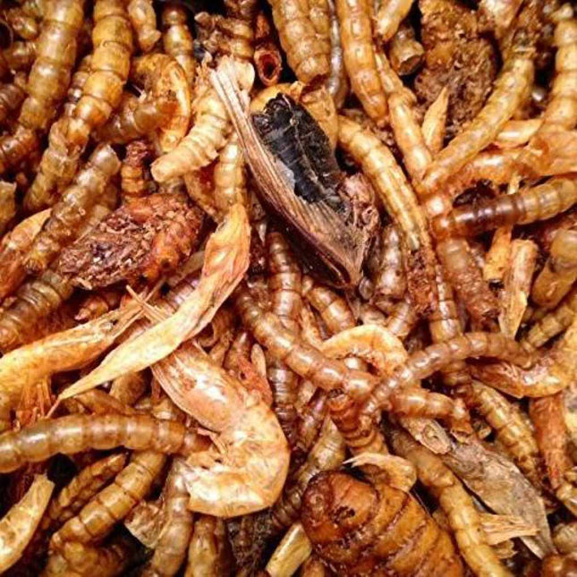 Topflite Insect Medley