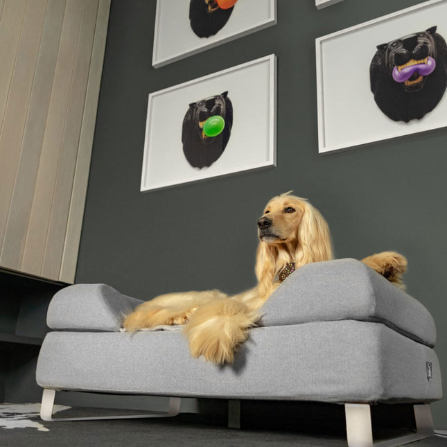 Topology Bolster Topper