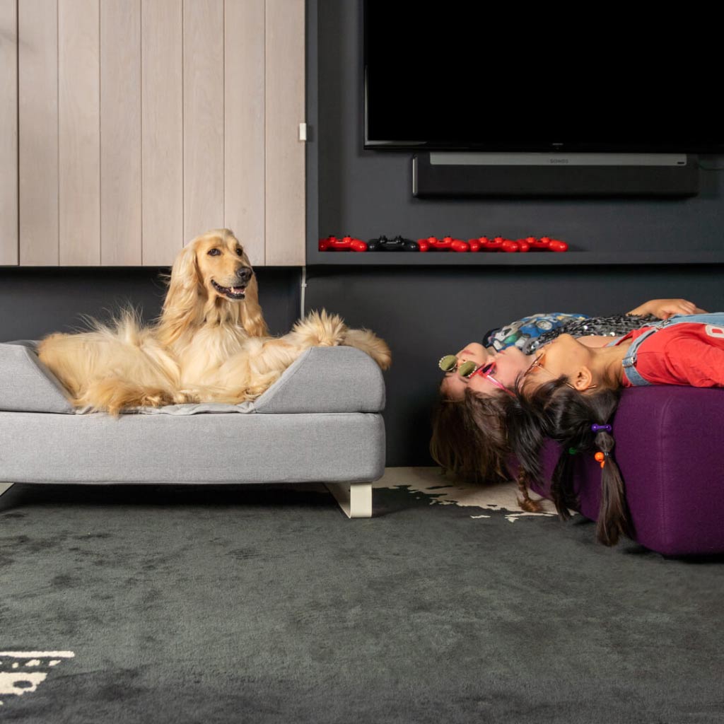 Topology Bolster Topper