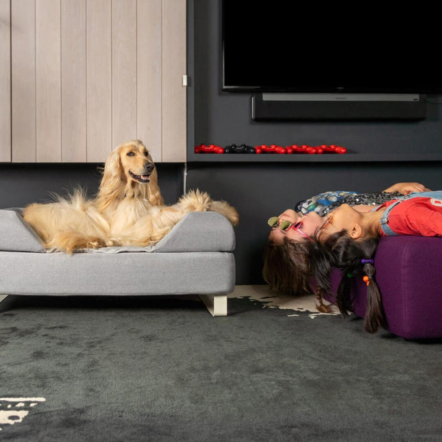 Topology Bolster Topper