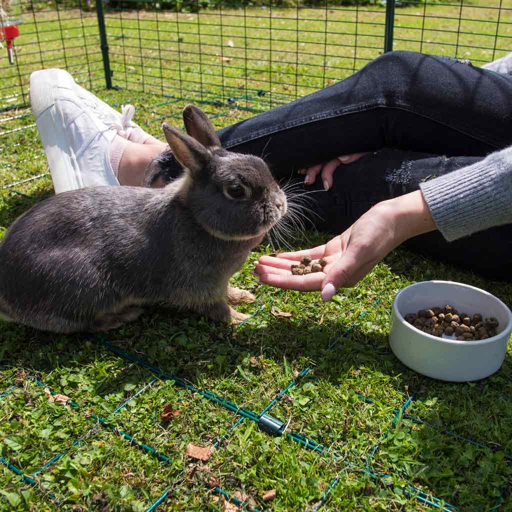 Underfloor Mesh | Omlet Pet Runs