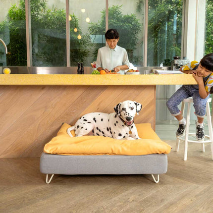 Topology Bean Bag Topper