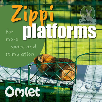 Zippi Guinea Pig Platforms