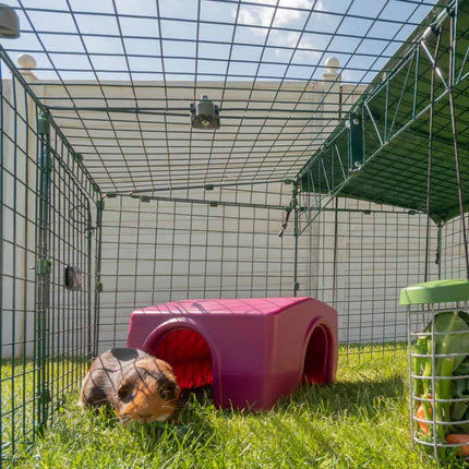 The Zippi shelter and Zippi Run are fun and enriching accessories for your Guinea Pigs