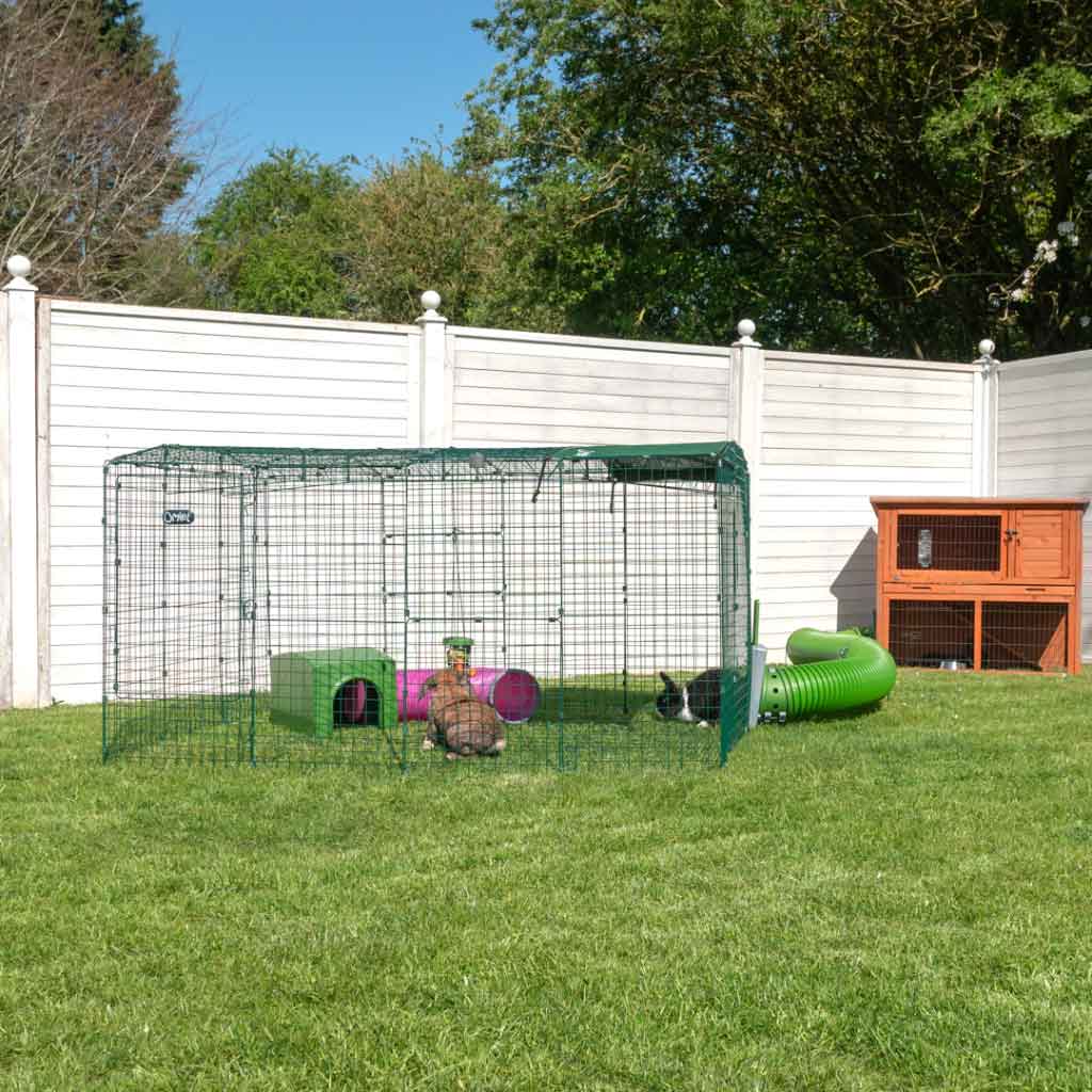 Zippi Rabbit Run connected to wooden hutch using Zippi tunnels 