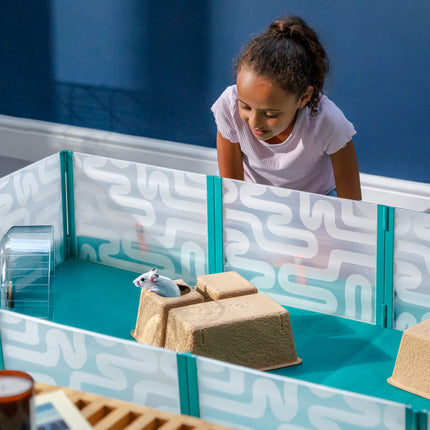 Enhance and enrich your pet mice playtime with a op-up playpen with floor by Omlet
