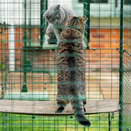 Simply clip the cat shelf onto your Omlet Catio for a secure fit in seconds