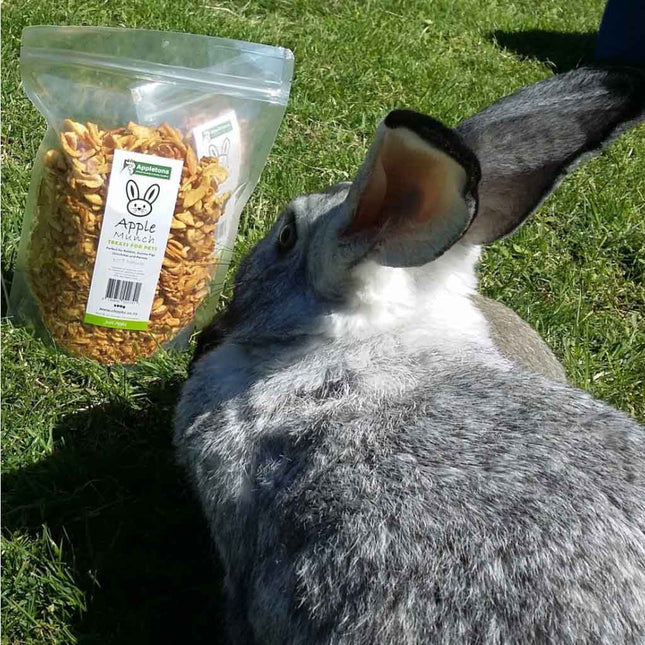 Appletons Apple Munch is NZ made from 100% NZ Apple pulp. It is 100% natural, no preservatives, additives or sulphites