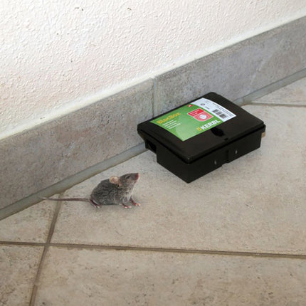 Rodent pest bait box large