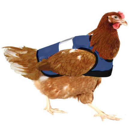 Omlet Hi-Vis Chicken Jackets Blue