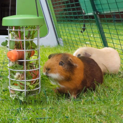 Caddi Treat Holders provide an easy way to increase the variety of food for your rabbits and guinea pigs