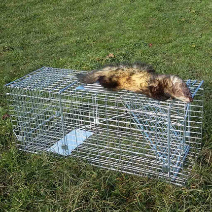 Cat or Possum Trap (Live Capture Cage Trap)