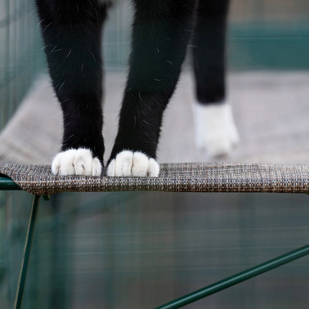 Add one or more cat shelves to make use of the vertical spaces in your cat enclosure
