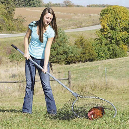 Make catching chickens easier with a poultry catch net