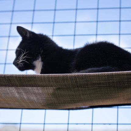 Built to last in a breathable, quick drying fabric, cats big and small can survey the scene from up high