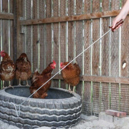 Poultry Crook, Chicken Staff, Chicken Catch Hook