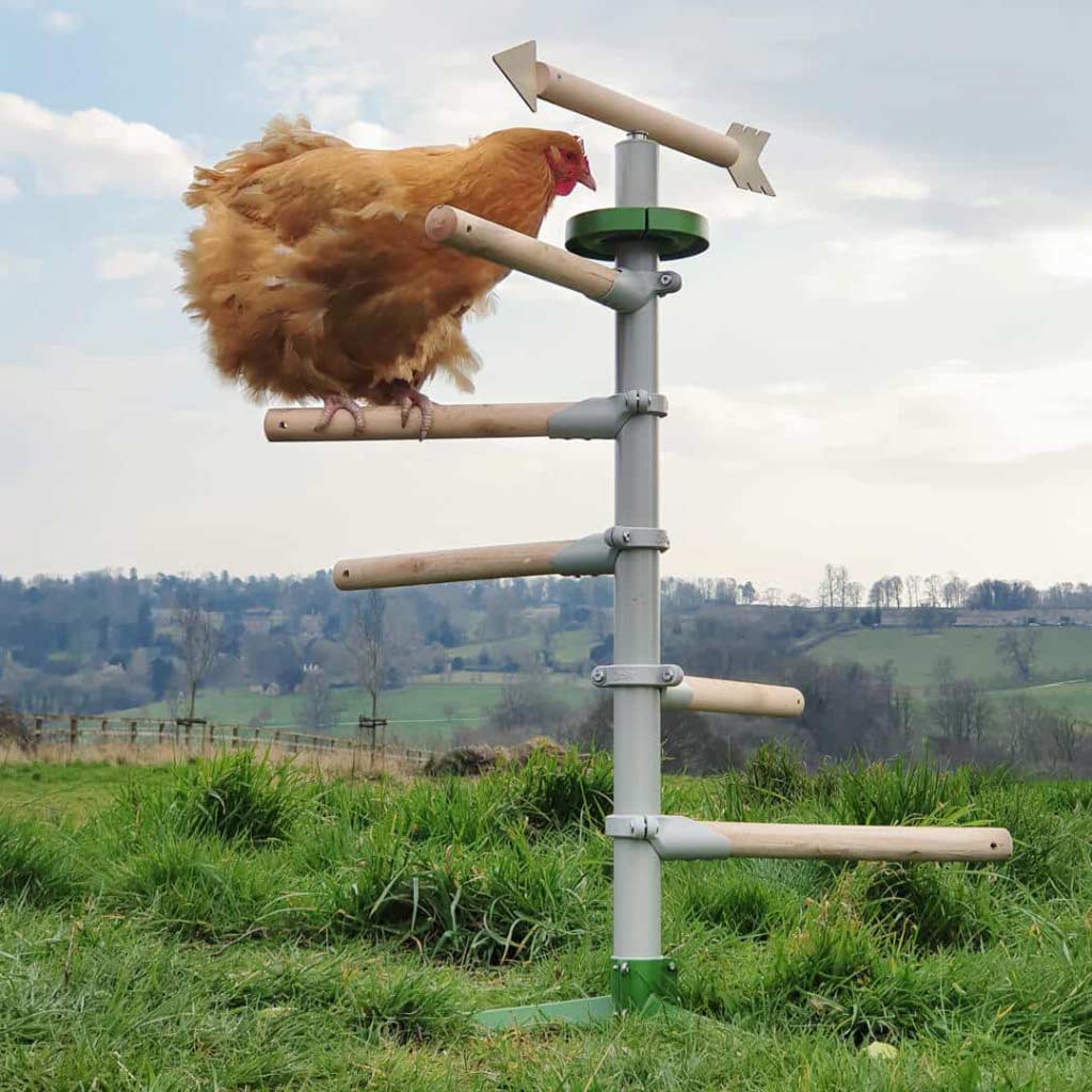 Freestanding Chicken Perch | Omlet