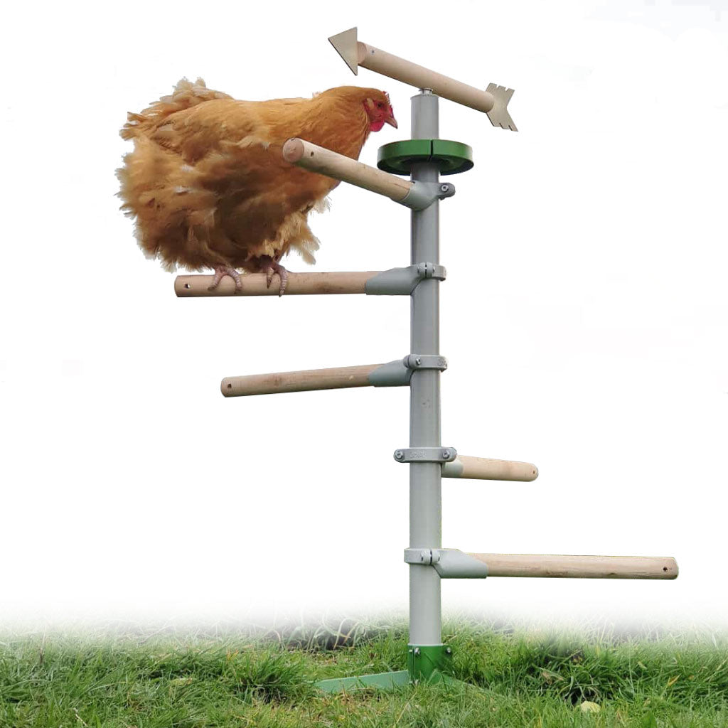 Freestanding Chicken Perch | Omlet