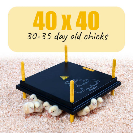 Comfort Chick Warmer | Heat Plate 40 x 40 cm