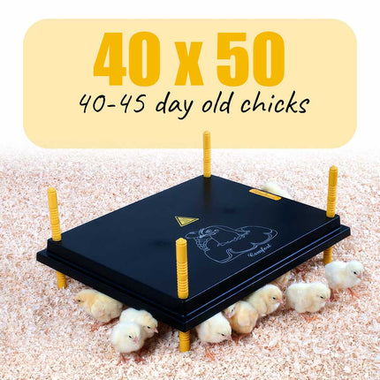 Comfort Chick Warmer | Heat Plate 40 x 50 cm