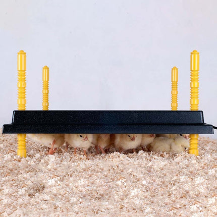 Comfort Chick Warmer | Heat Plate