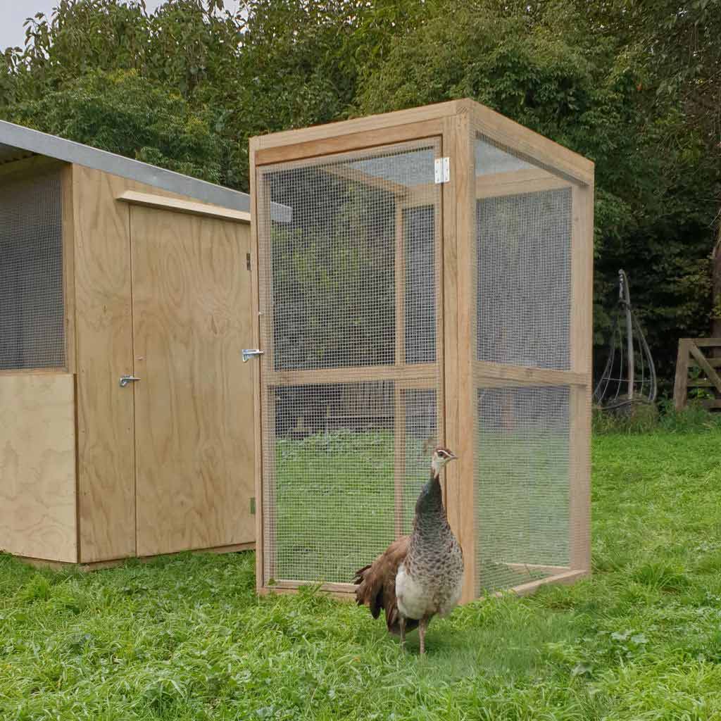 Optional enclosed run for the Appletons classic timber walk-in small-bird aviary