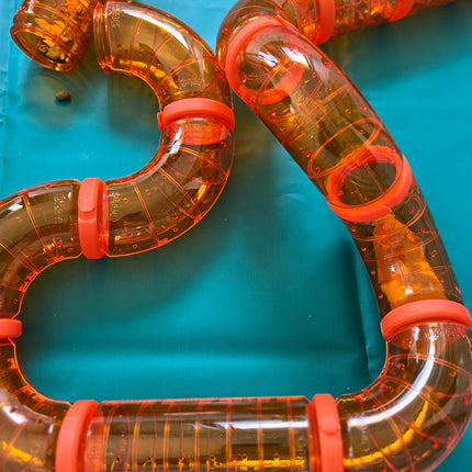 create a tunnel-like maze for your tiny pets with Omlet Habitat Tunnels