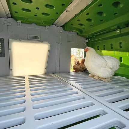 Eglu Pro extra large coop with Lux Window for ambient natural light