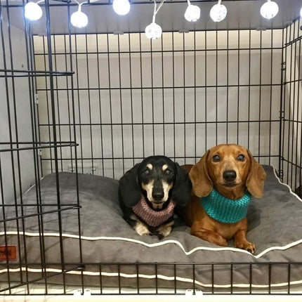 Omlet Fido Studio Dog Bed