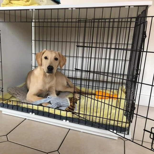 Fido Studio 36 (o wardrobe)